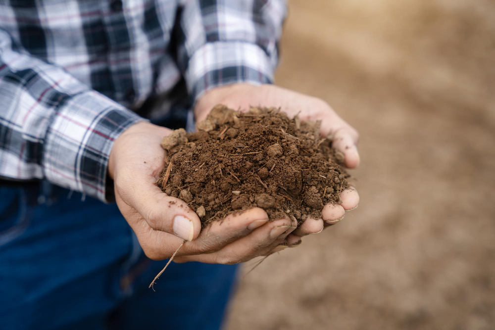 Jakie maszyny są kluczowe do utrzymania zdrowej i wydajnej gleby?